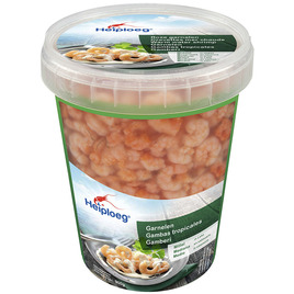 Warm water garnalen in opgiet