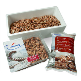 Noordzee garnalen heel